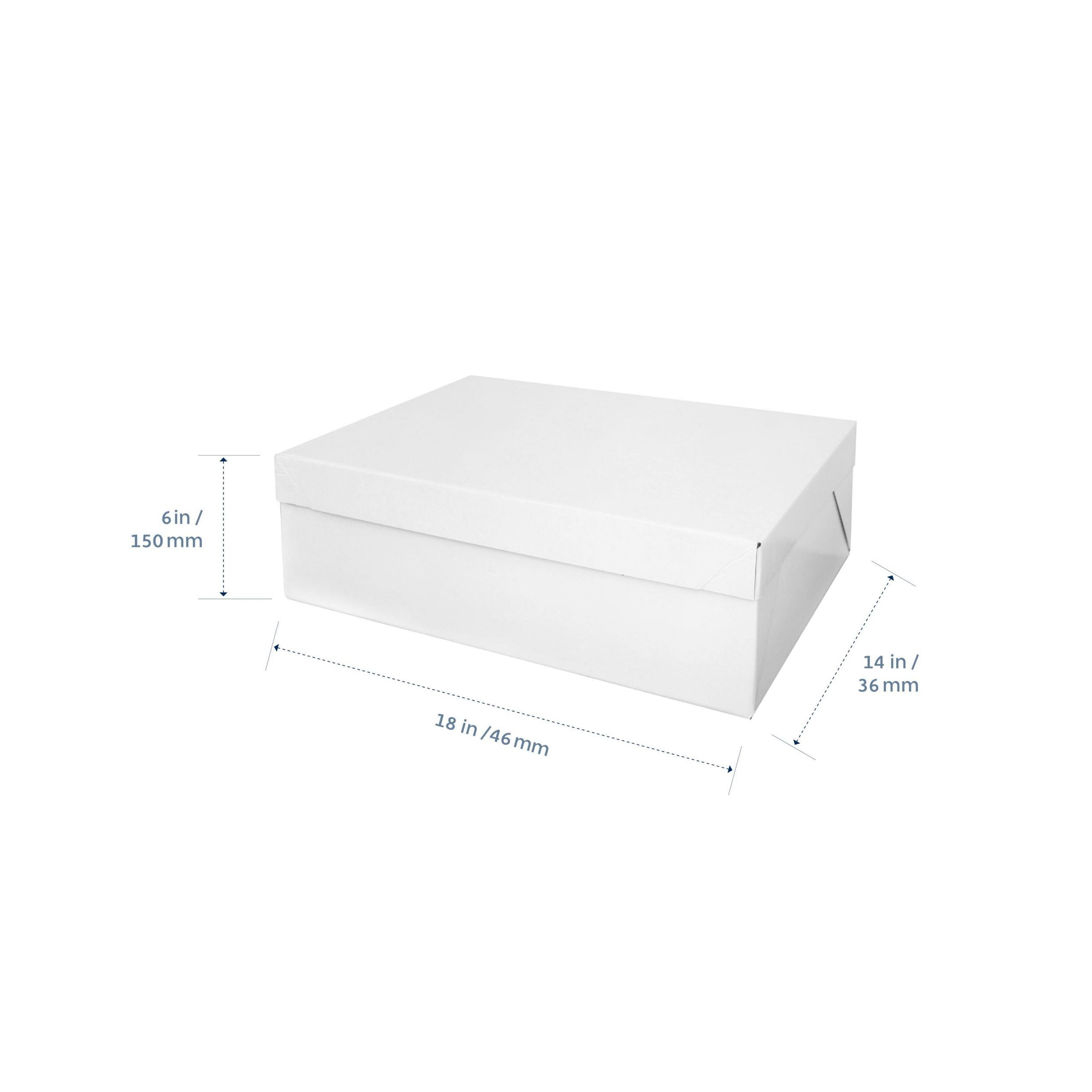 Cake Box and Lid Small Slab Rectangle 18''x14''x6" (H)