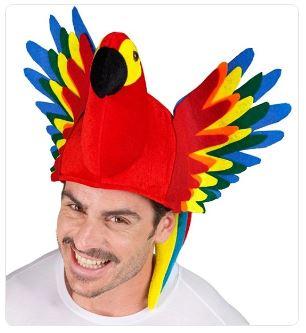 Hat Animal Bird Parrot Colourful