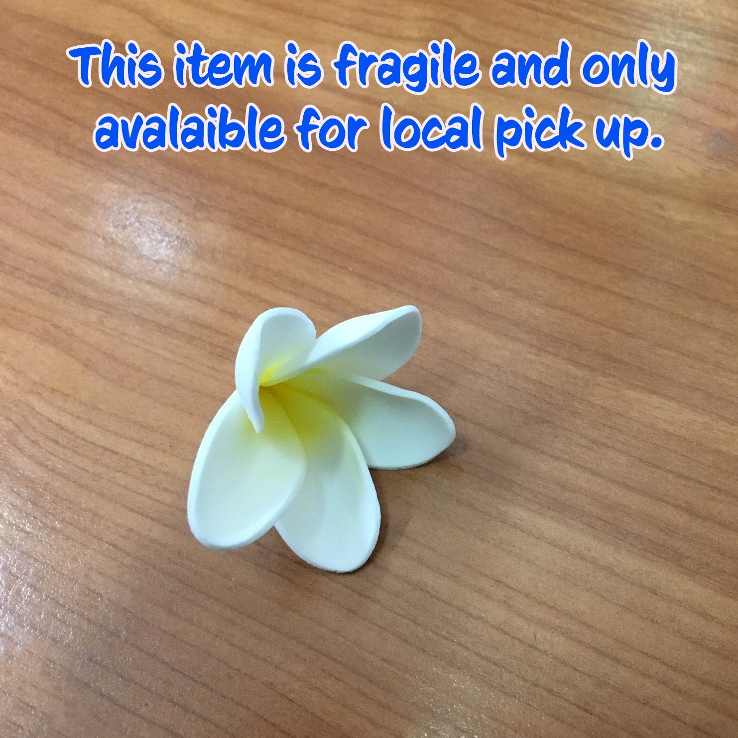 Sugar Frangipani 4cm White Yellow