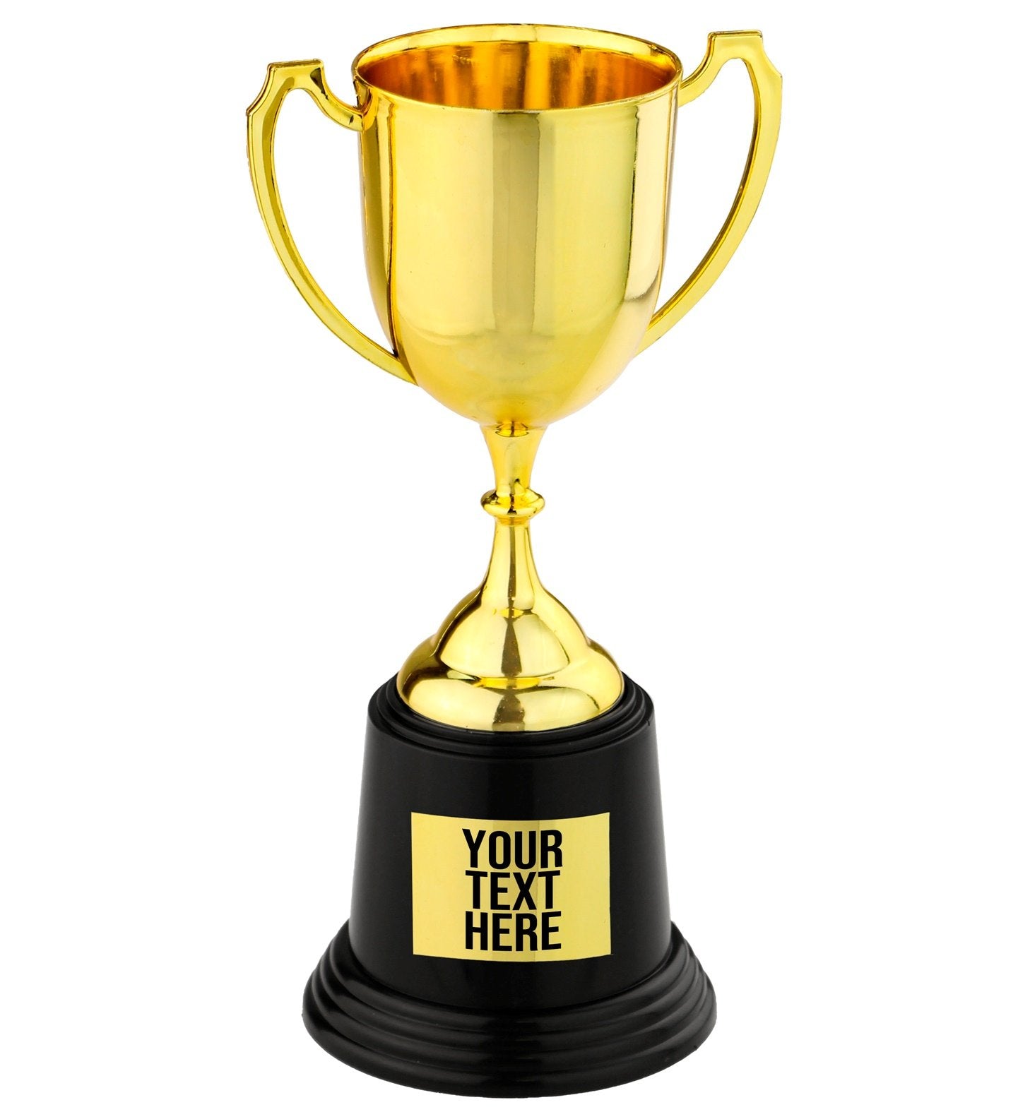 Trophy Cup Large With Blank Plaque Space For Personalised Stickers 22cm