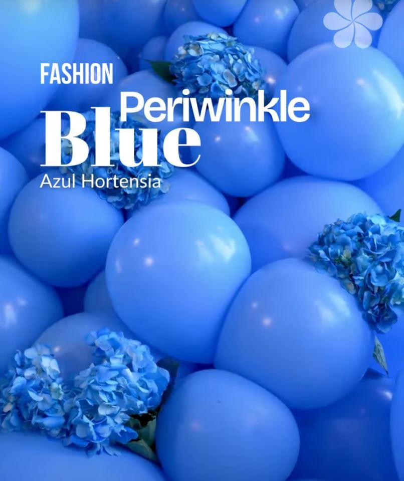 Latex Balloon 12cm Fashion Periwinkle Blue Pk 50