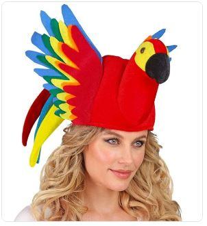 Hat Animal Bird Parrot Colourful