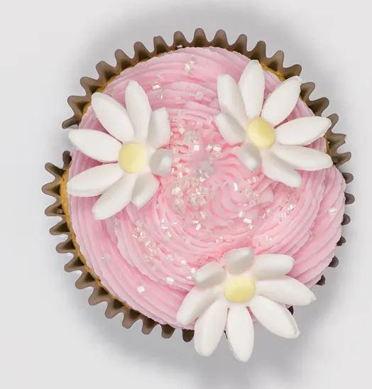 Cutter Plunger Daisy Flower Set of 4 Mondo