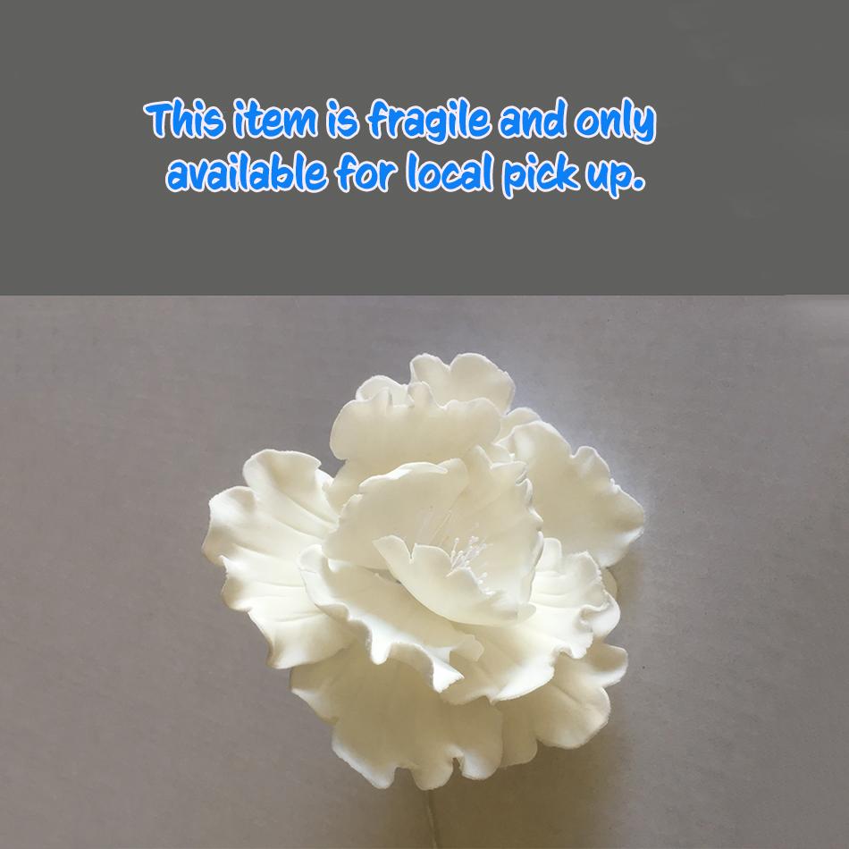 Peony White Open Medium Plain Pro