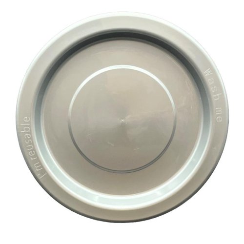 Plates 230mm Silver Plastic Dinner Size Reusalbe Pk/20