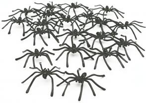 Spiders Creepy Black Pk/50