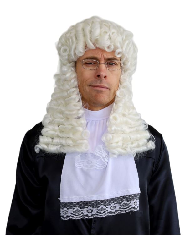 Wig Judge/Barrister White Costume Accessory