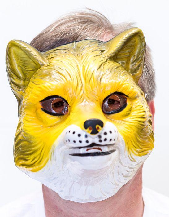 Animal Costume Mask Fox Plastic Moulded Plastic