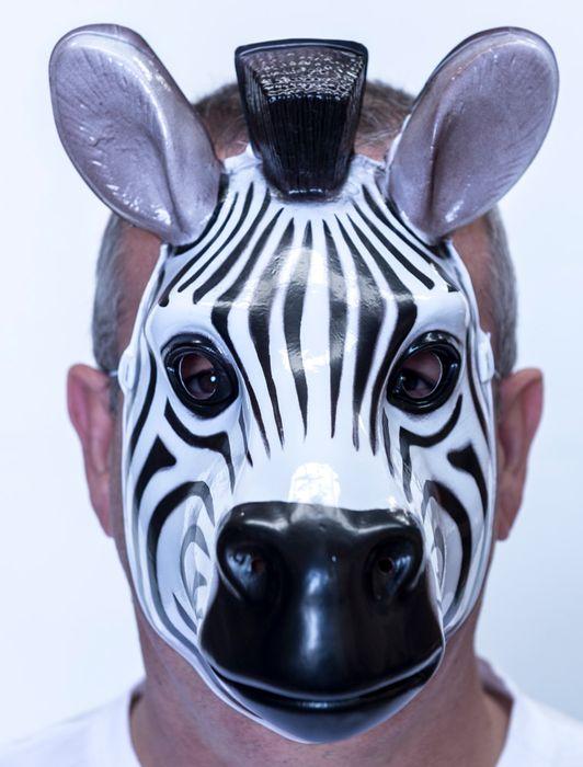 Animal Costume Mask Zebra Moulded Plastic