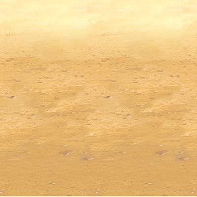 Desert Sand Backdrop 1.2x9m