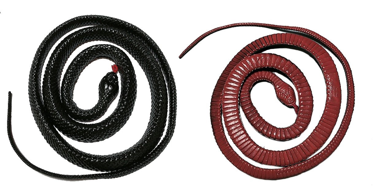Snake Red Belly Black 1.05m Long Rubber Assorted Style Each
