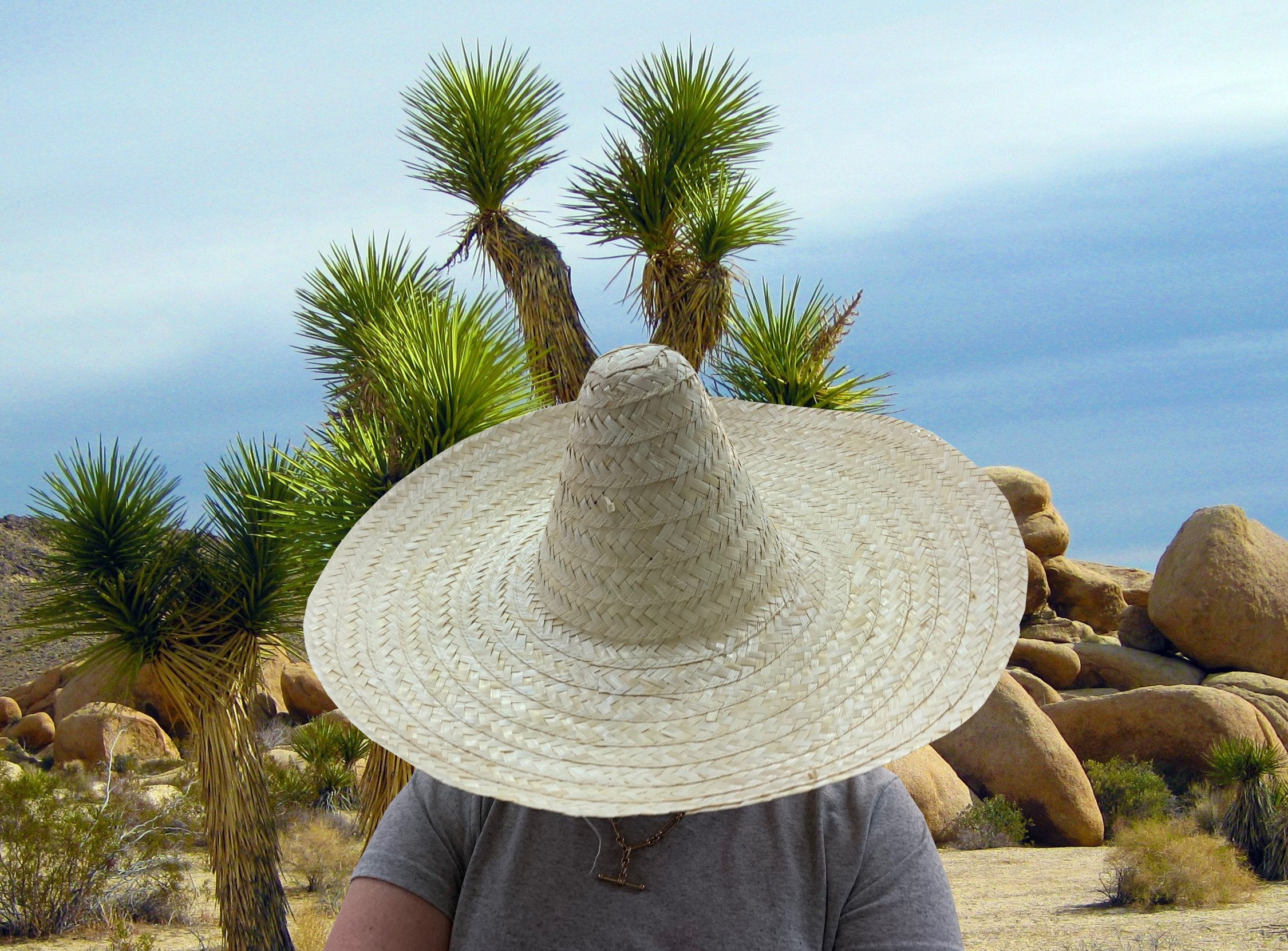Hat Sombrero 49cm Large