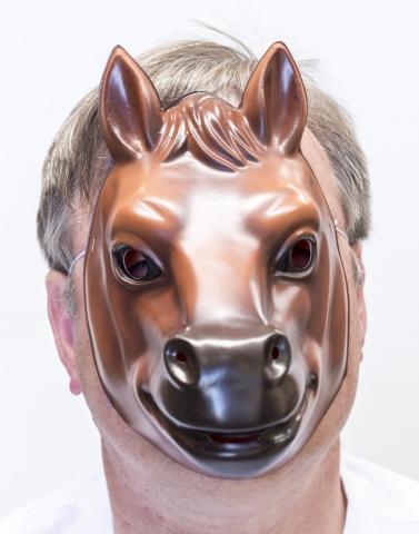 Animal Costume Mask Horse Moulded Plastic