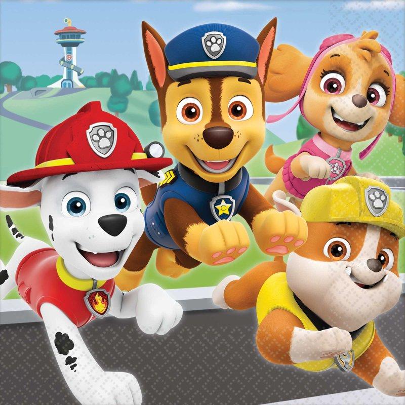 Paw Patrol Adventure Lunch Napkins Pk/16