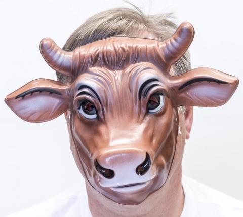 Animal Costume Mask Cow/Bull Moulded Plastic
