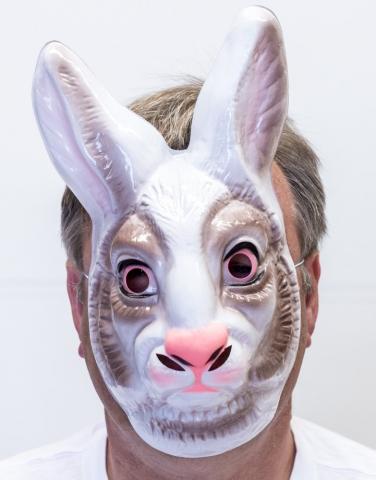 Animal Costume Mask Bunny Rabbit Moulded Plastic