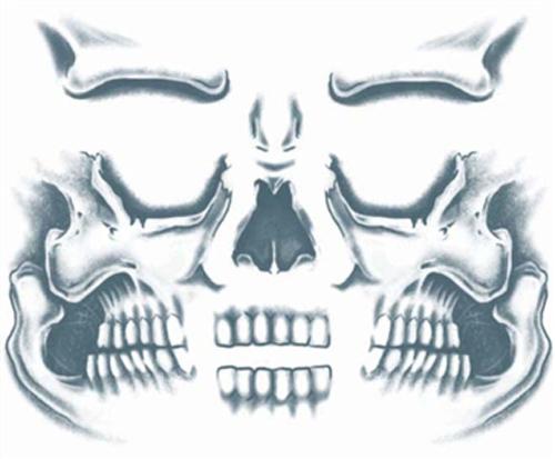 Temporary Tattoo Fx Face Skull Face