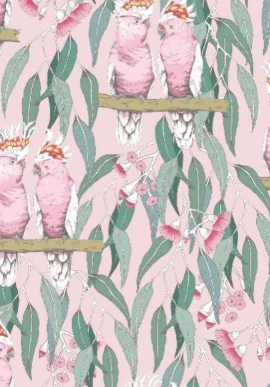 Gift Wrapping Paper Australia Galahs & Eucalyptus