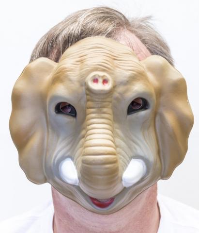 Animal Costume Mask Elephant Moulded Plastic